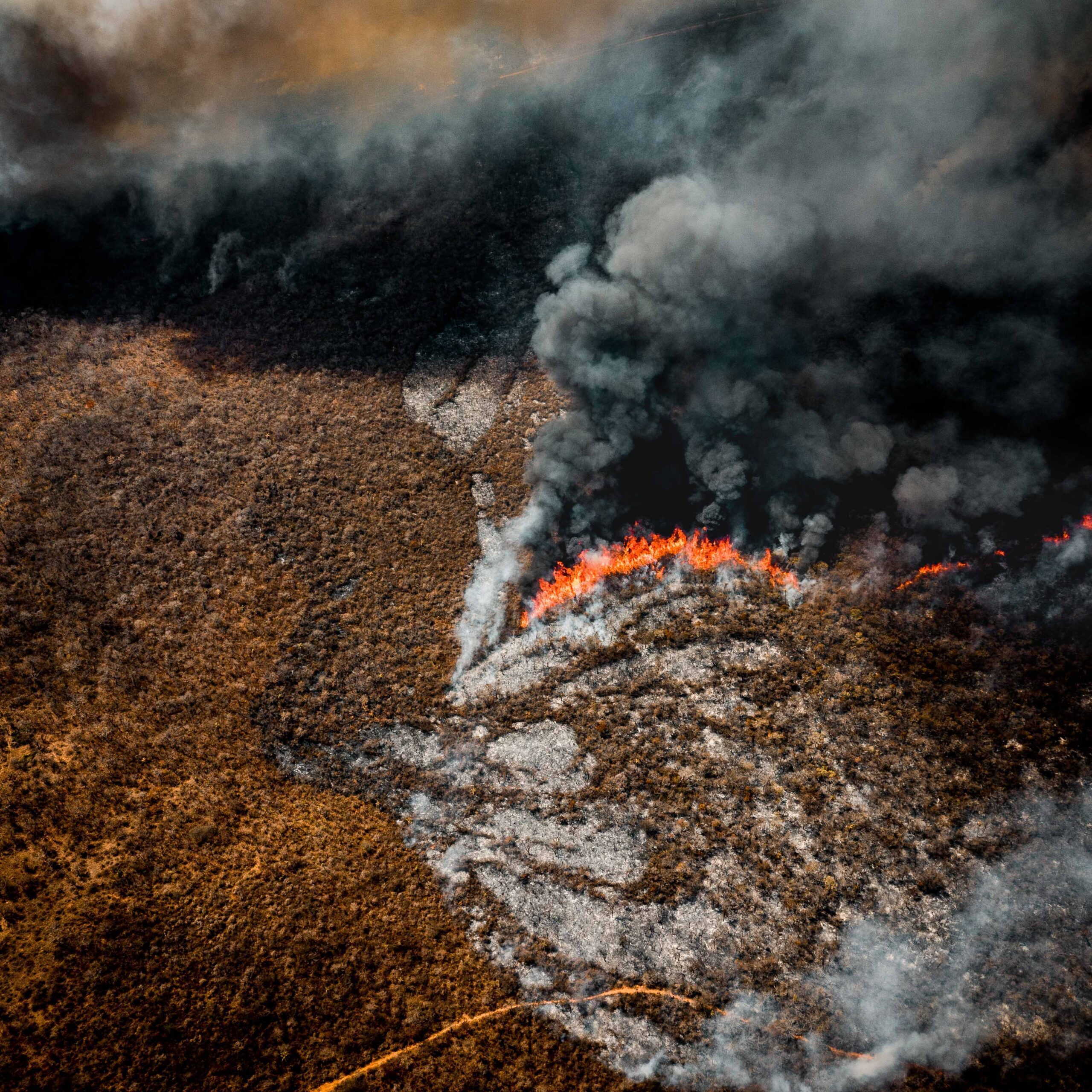 Incendio forestal, Zona de Limoncito, Roboré, Bolivia. Foto: FCBC.