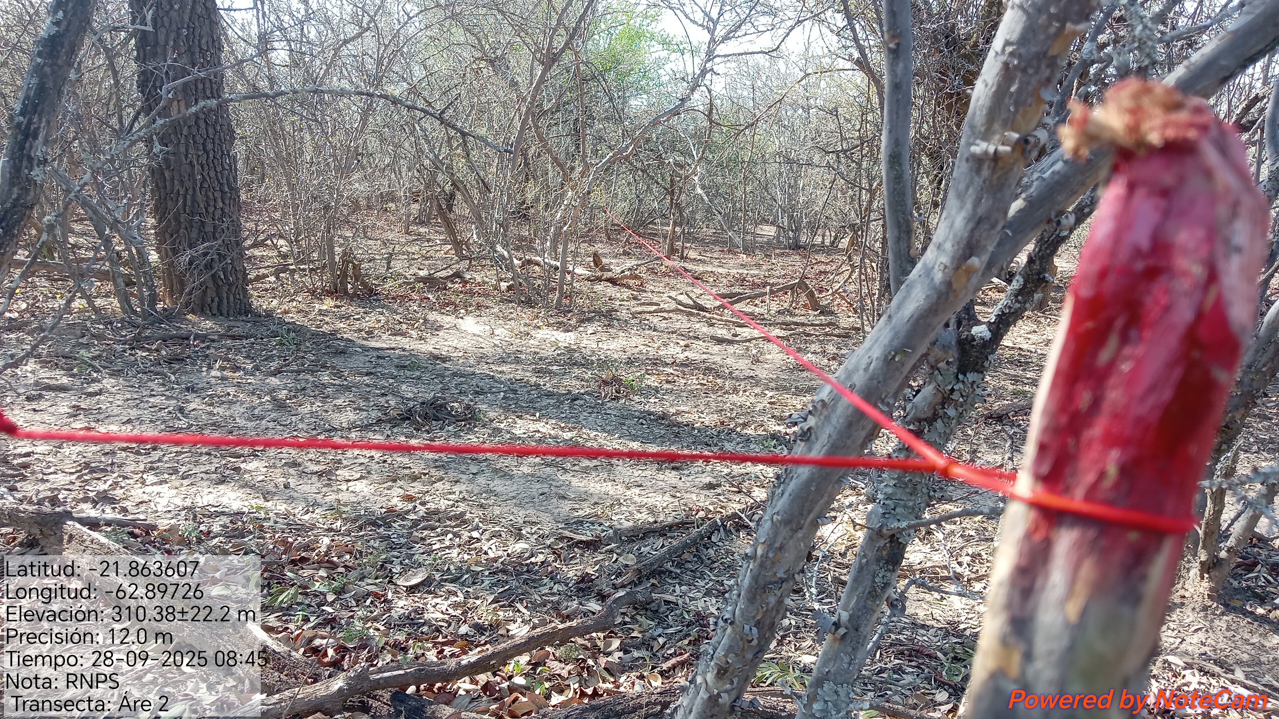  Parcela georeferenciada y delimitada