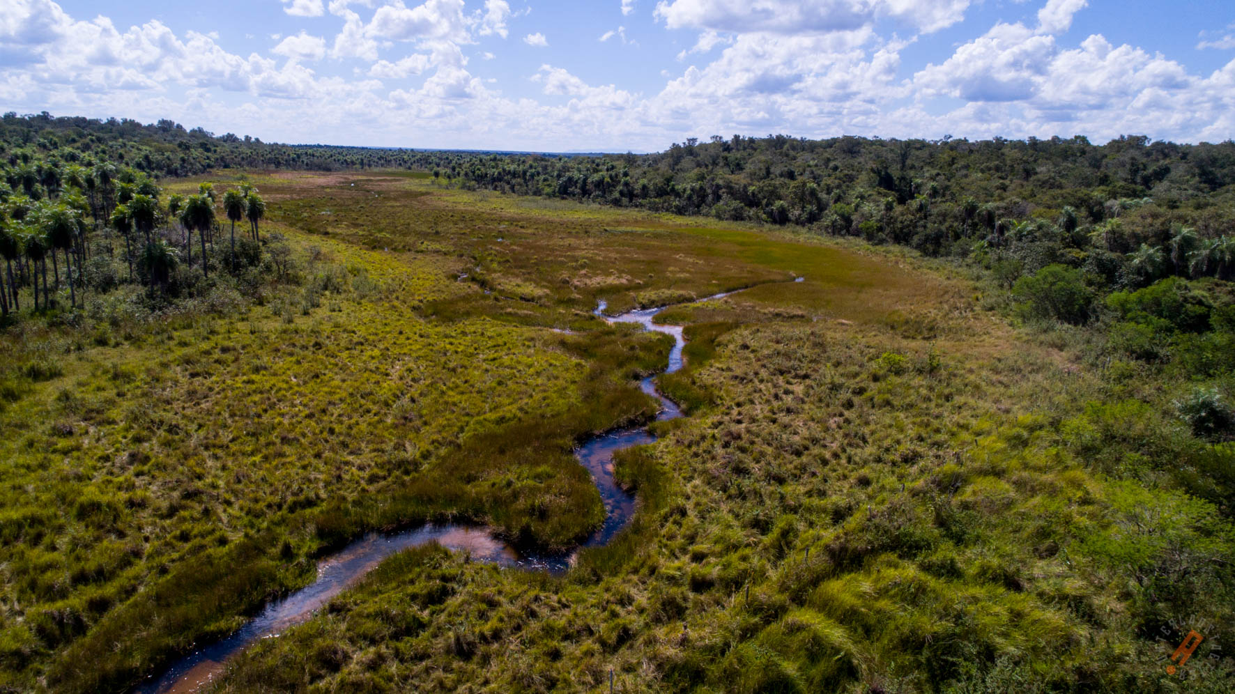 Área de Conservación e Importancia Ecológica Ñembi Guasu
