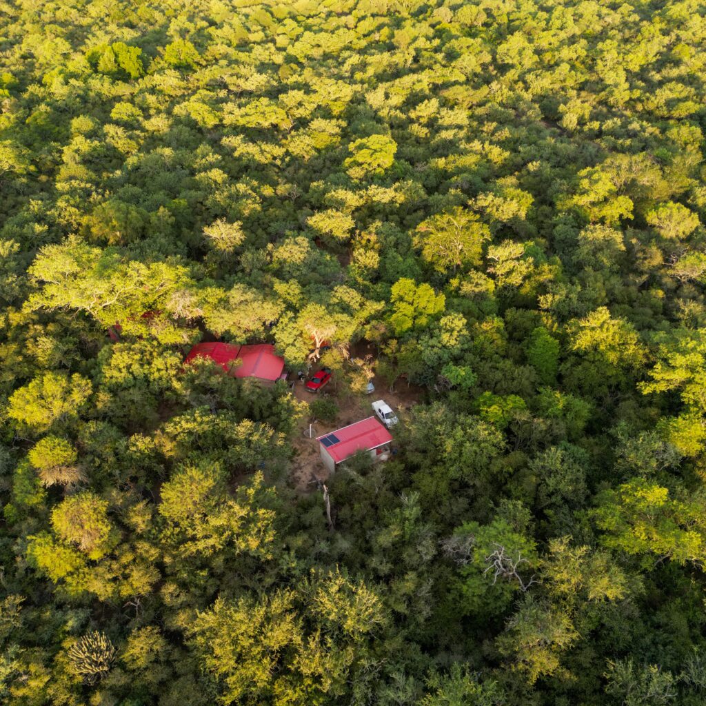 Campamento de Guardianes del monte "Kaa Iyangarekoa reta" Ñembi Misi