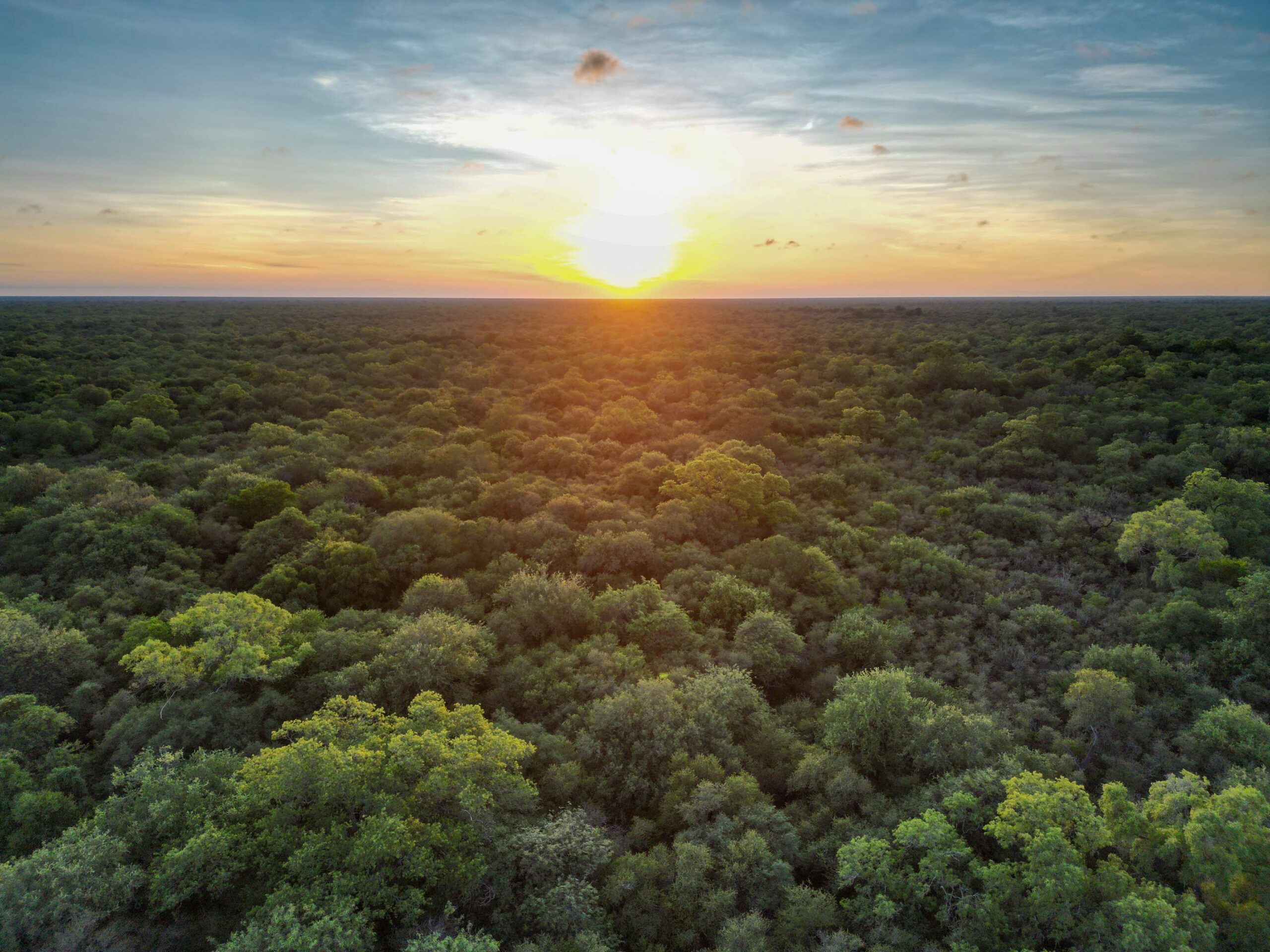 Paisaje Chaqueño en la Reserva Privada Palo Santo